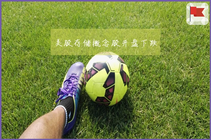 美股存储概念股开盘下跌
