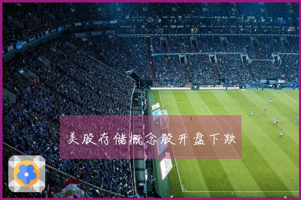 美股存储概念股开盘下跌